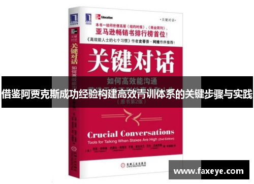 借鉴阿贾克斯成功经验构建高效青训体系的关键步骤与实践