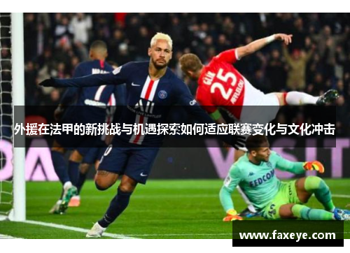 外援在法甲的新挑战与机遇探索如何适应联赛变化与文化冲击