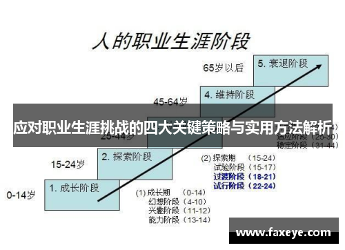 应对职业生涯挑战的四大关键策略与实用方法解析