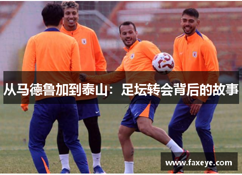 从马德鲁加到泰山:足坛转会背后的故事