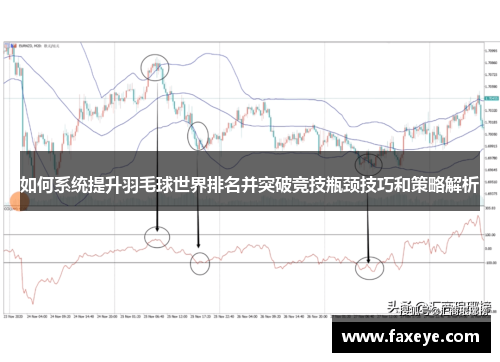 如何系统提升羽毛球世界排名并突破竞技瓶颈技巧和策略解析